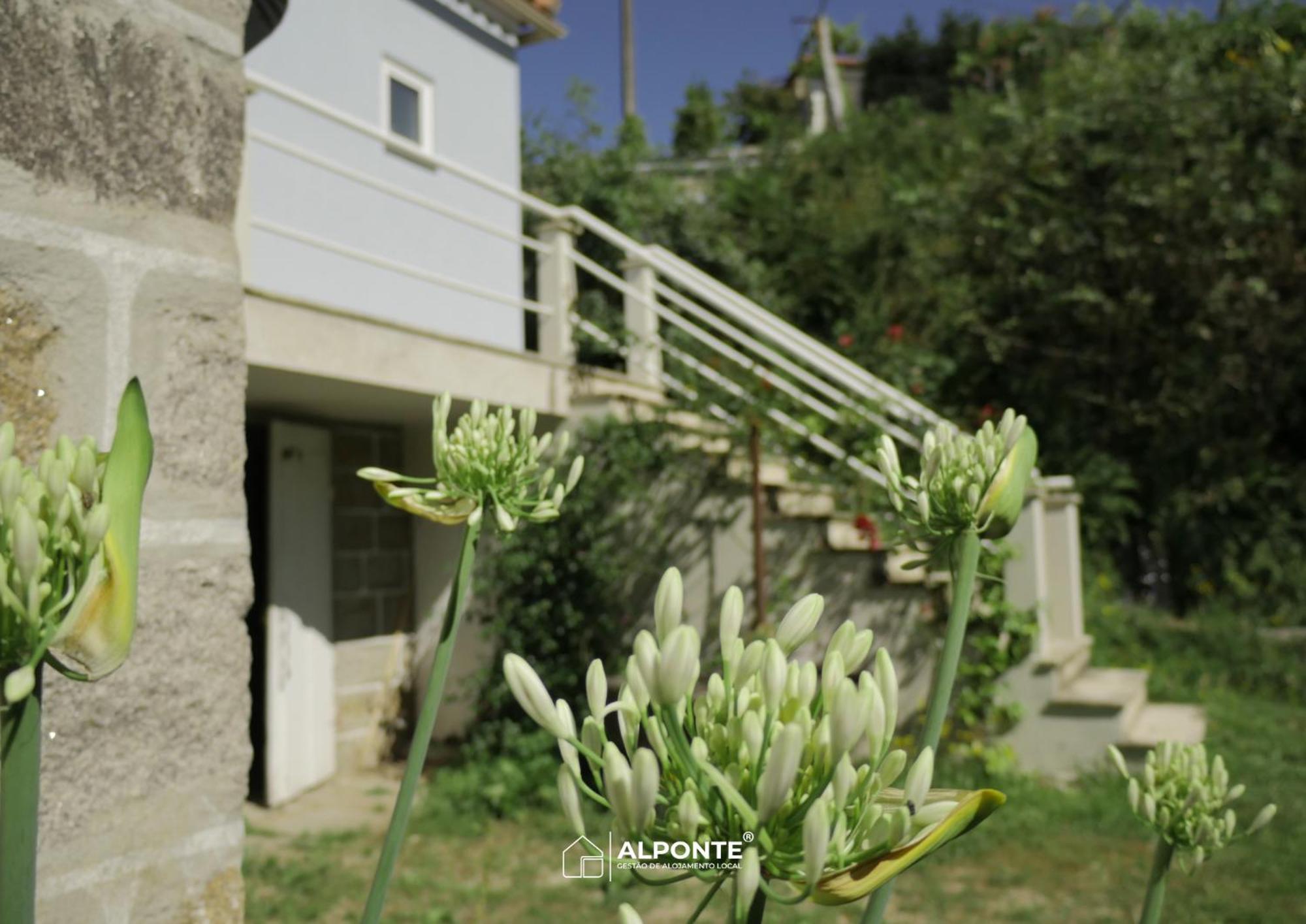 阿尔库什迪瓦尔德维什Quinta Da Costeira - Casa Azul Do Limoal By Alponte别墅 外观 照片