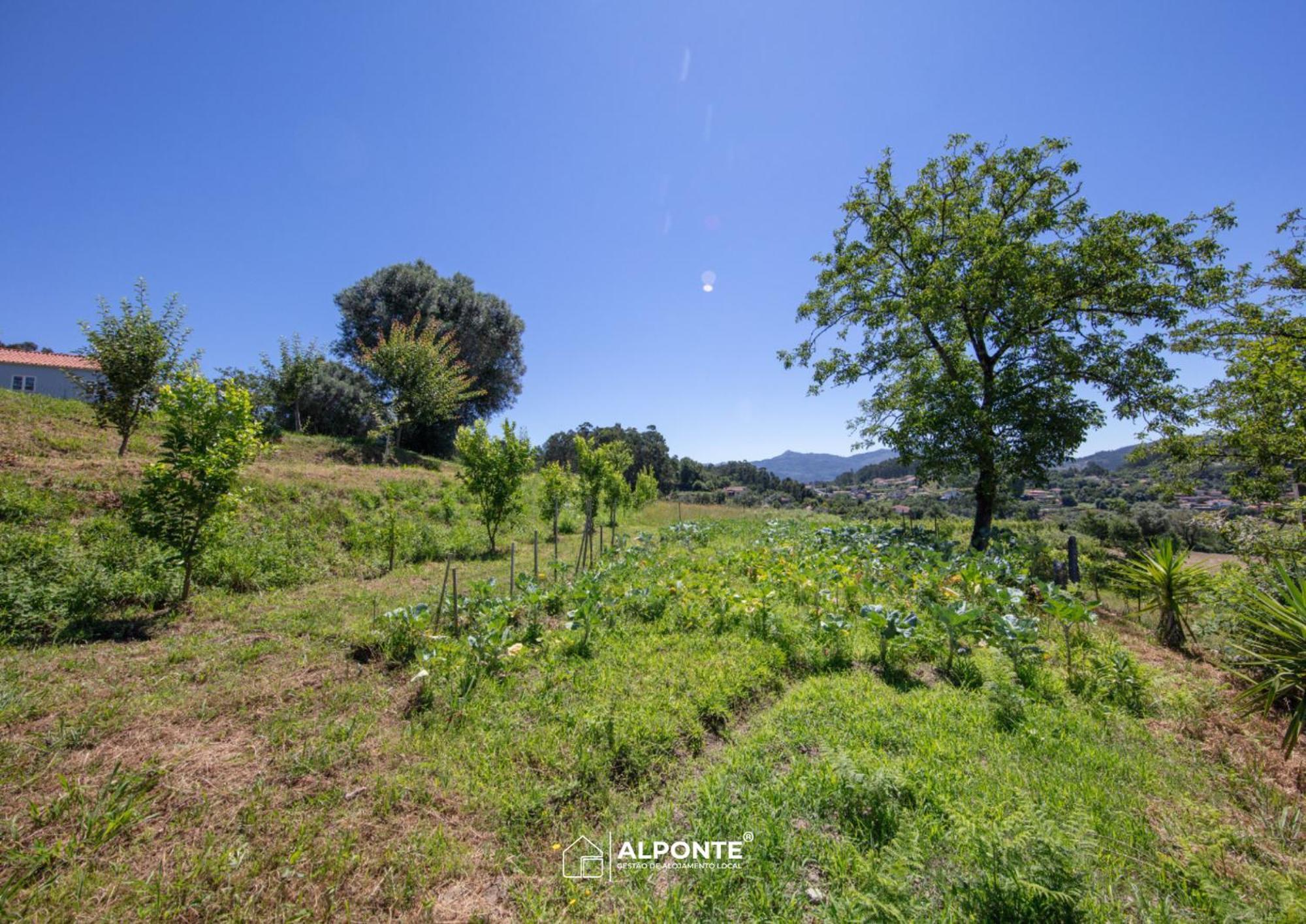 阿尔库什迪瓦尔德维什Quinta Da Costeira - Casa Azul Do Limoal By Alponte别墅 外观 照片