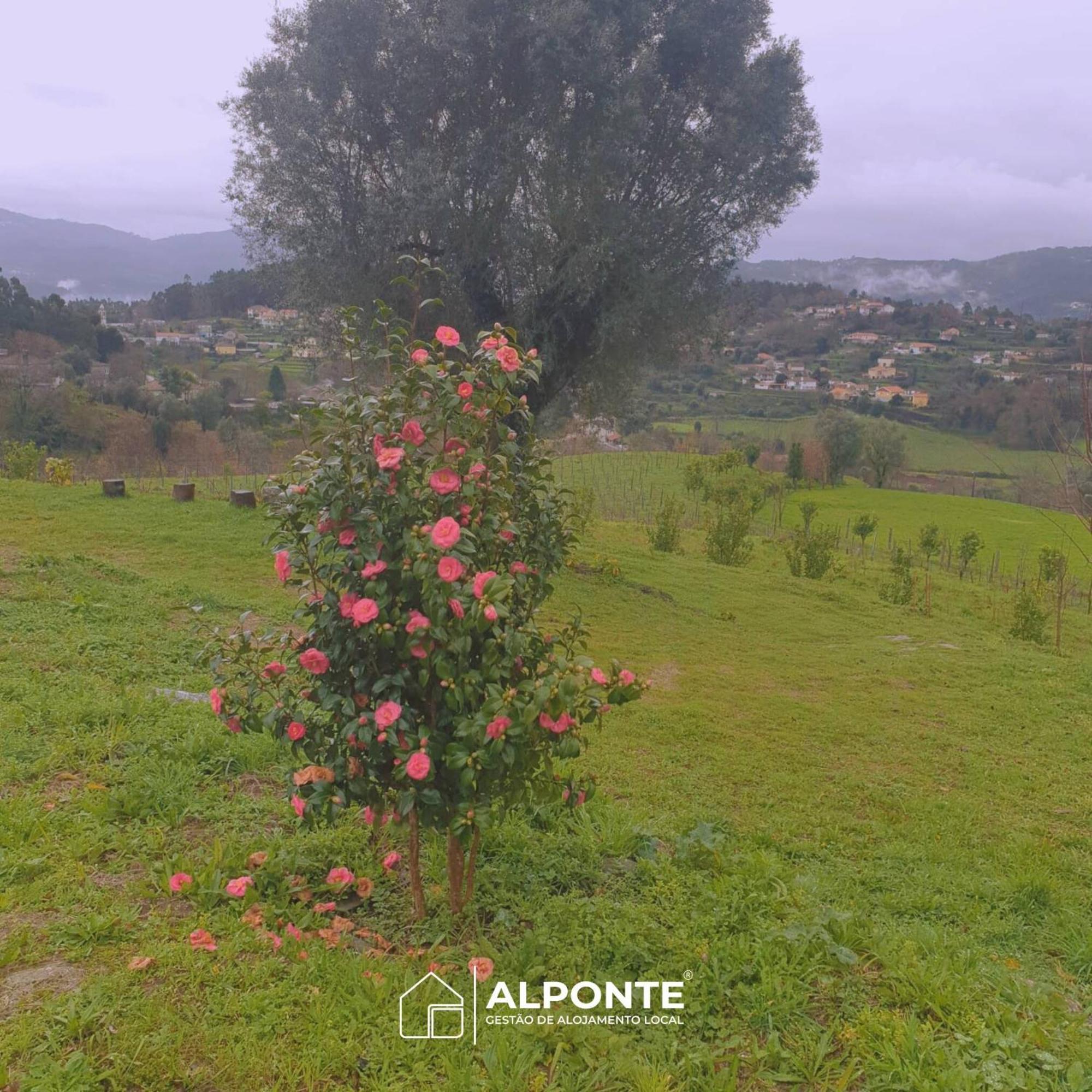 阿尔库什迪瓦尔德维什Quinta Da Costeira - Casa Azul Do Limoal By Alponte别墅 外观 照片